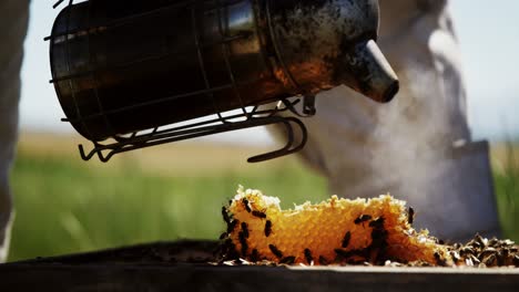 beekeeper smoking the bees away from hive