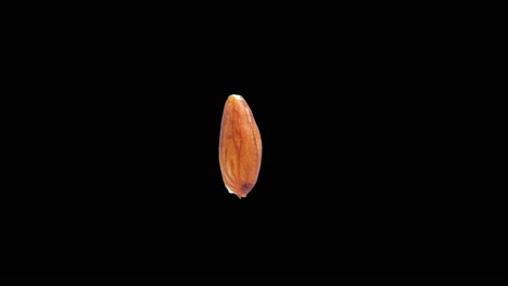 rotating almond isolated on editable black background stereoscopic 3d visualisation