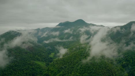 tropical hilly landscape