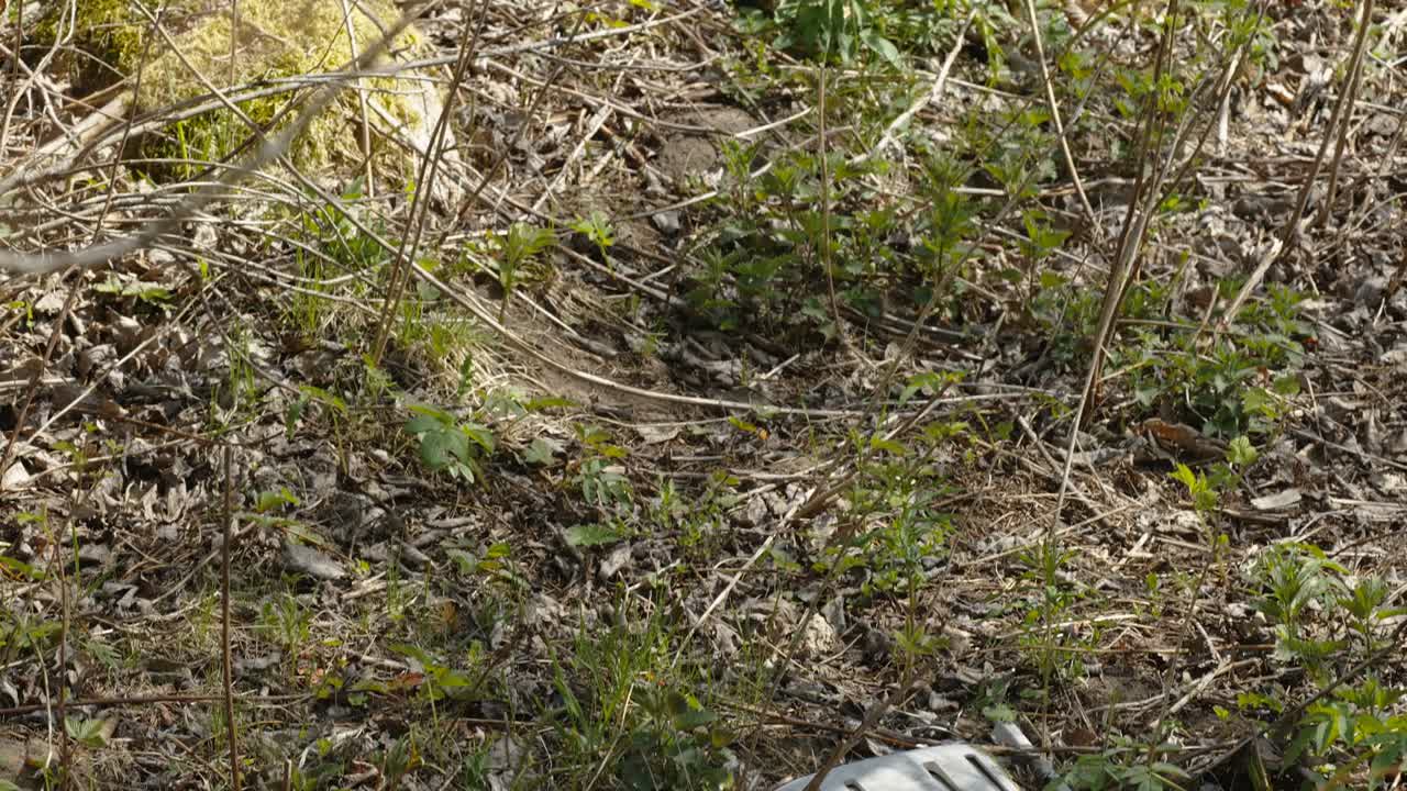 에스토니아의 숲 한가운데에 있는 색 플라스틱 쓰레기