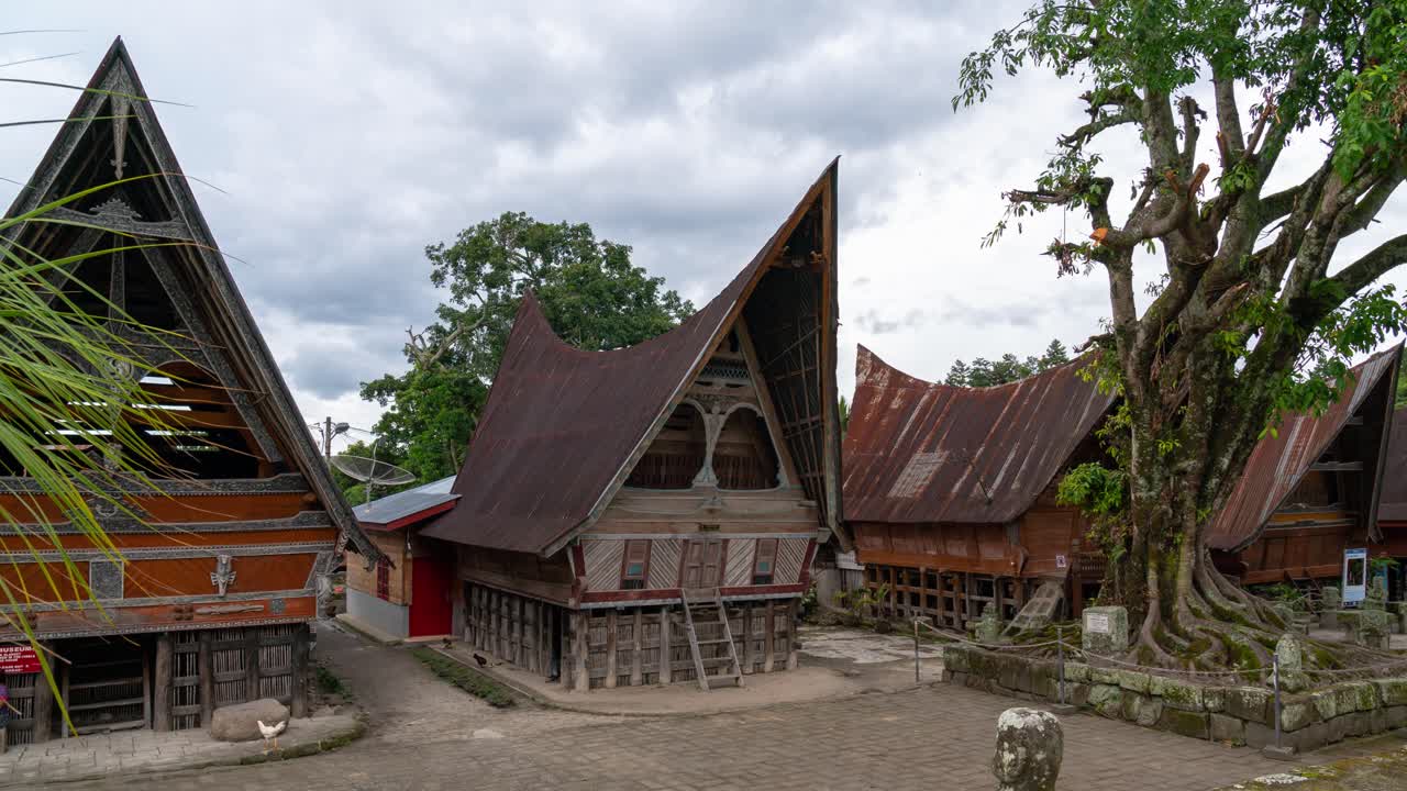 Traditional Batak houses and a large tree in an Indonesian village