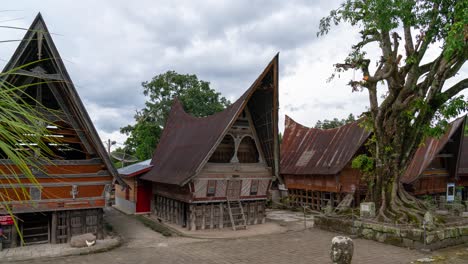 traditional batak houses and a large tree in an indonesian village