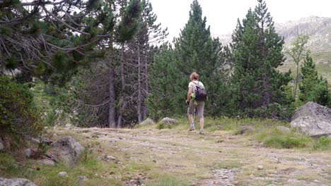 active woman walking with poles on stony hill slope