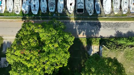 Nahe-Luftaufnahme,-Direkter-Blick-Nach-Unten-über-Baumwipfel