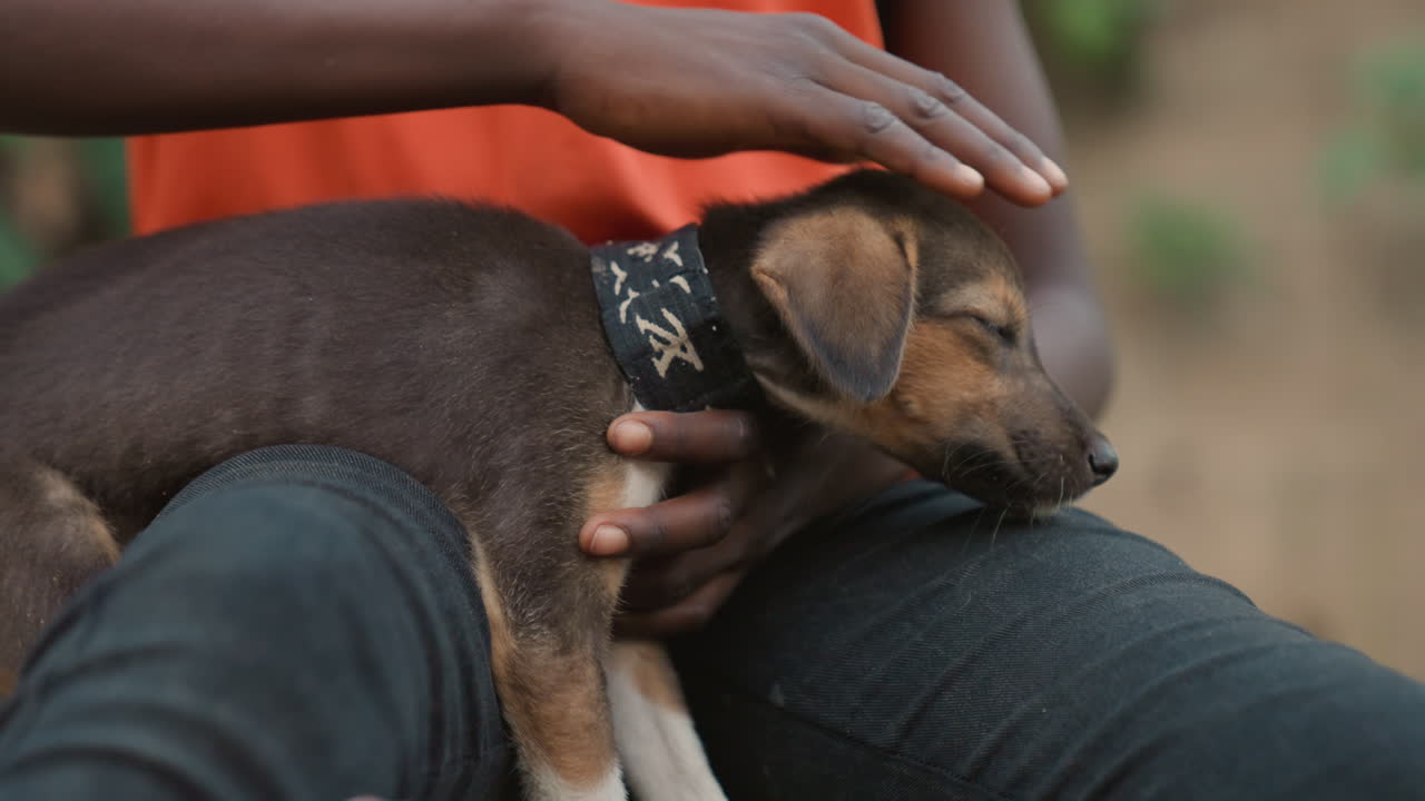 Giovane bambino nero che accarezza un cucciolo in grembo, con maglietta arancione e jeans. Le mani accarezzano il cucciolo meticcio marrone con collare nero, in un'atmosfera calma e affettuosa. Primo piano delle mani e del muso, con temi di salvataggio e cura.