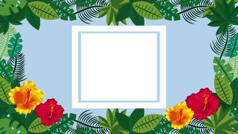 plantilla de verano tropical