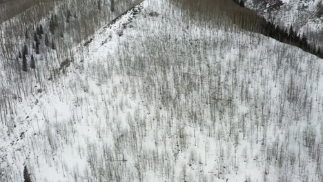 Majestuosa-Pendiente-Montañosa-Cubierta-De-Nieve-Y-Bosque-Denso,-Vista-Aérea-De-Drones