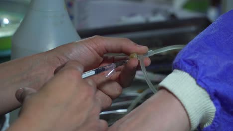 a veterinarian applies anesthetic through an intravenous catheter during a pet sterilization surgery