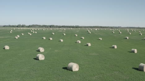 aerial fly over closeup circular hay bales scatterred somewhat symetrical over a lush green pastures of farmland on clear sumemr day with blue skies and mini forest as boundaries to the neighbors 3-5