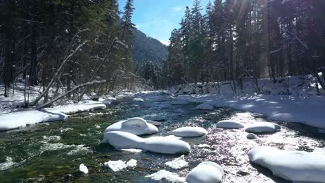 Schöner-Schneeszenenwald-Im-Winter.-Überfliegen-Von-Fluss--Und-Kiefernbäumen,-Die-Mit-Schnee-Bedeckt-Sind.