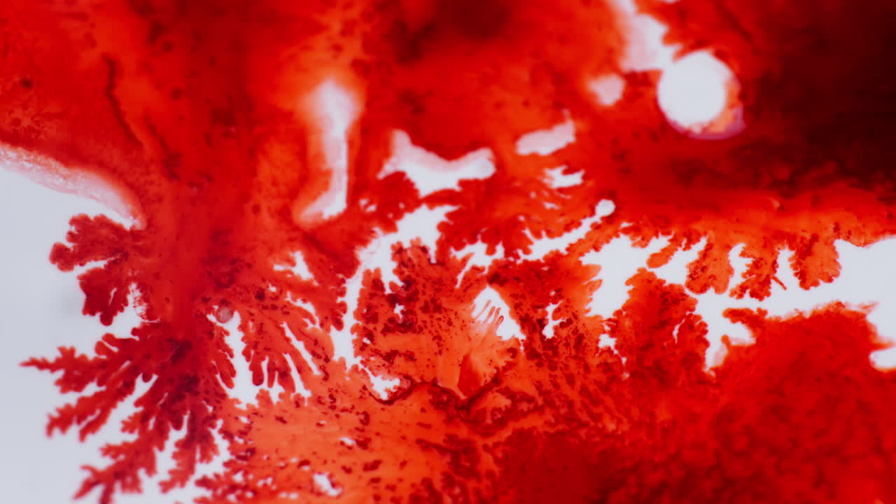 Water Drops On The Red Ink And Form An Abstract Fractal Pattern