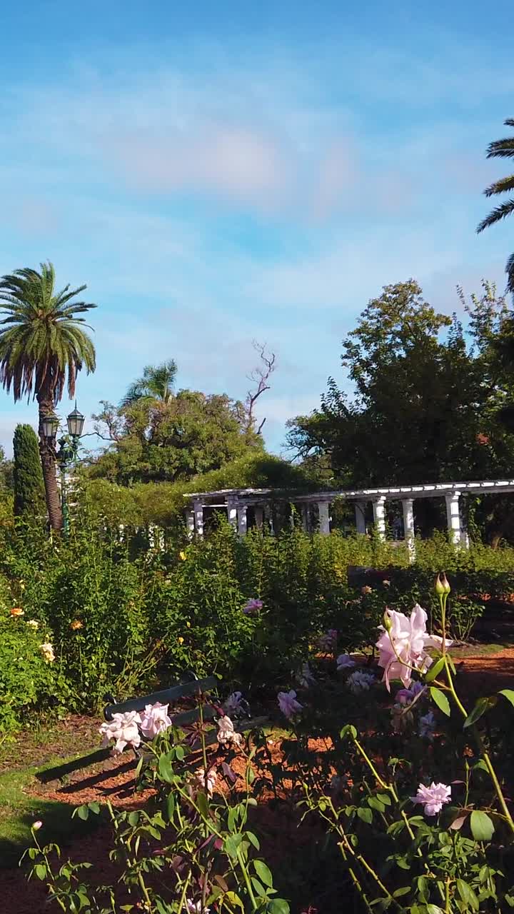 Roseto di Palermo Panoramica verticale parco urbano Buenos Aires Argentina paesaggio