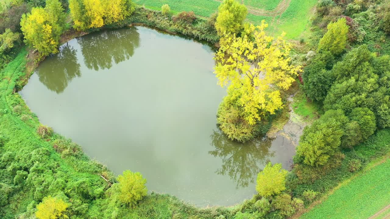 나무 가 서 있는 작은 섬 이 있는 연못 의 둘레 의 공중 사진