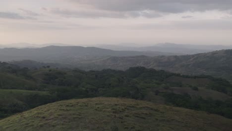 aerial backward shot of bulls and cows on hilly grassland in costa rica