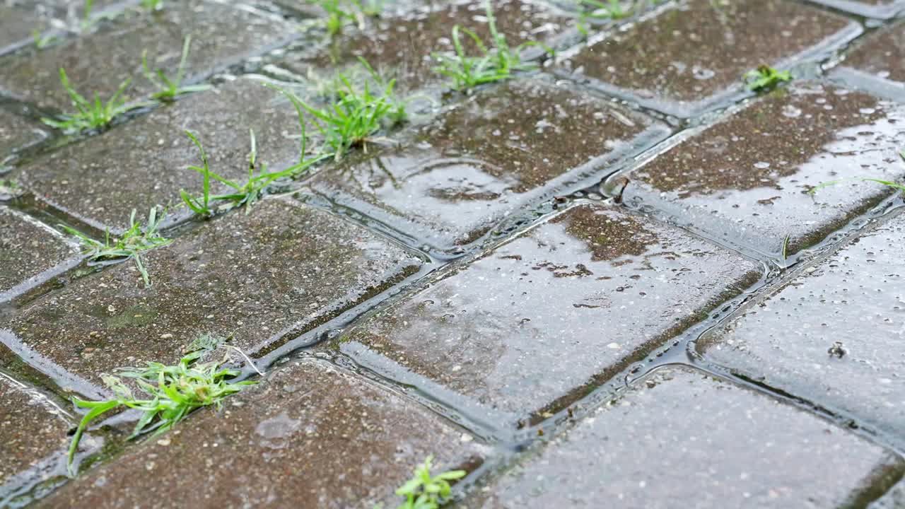 Detailed close-up of pedestrian stones shining with rainwater on a rainy day