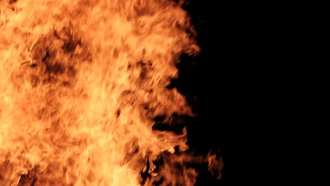 llamas de fuego en un fondo negro, hoguera ardiendo por la noche
