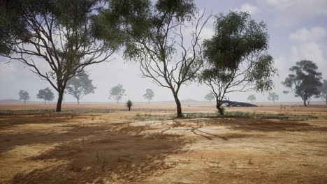 vast dry landscape with sparse trees under a cloudy sky in a remote area