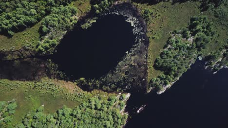 Top-down-drone-view-on-a-remote-lake-surrounded-by-woods-and-trees-hb14