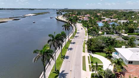 aerial-over-palm-trees-lining-west-palm-beach-florida-street