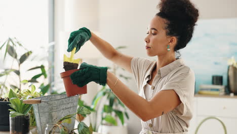 woman repotting houseplants at home