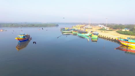 drohnenaufnahme in einem fischerhafen, die die boote und eine gruppe von krähen zeigt, die der drohne folgen und sie jagen