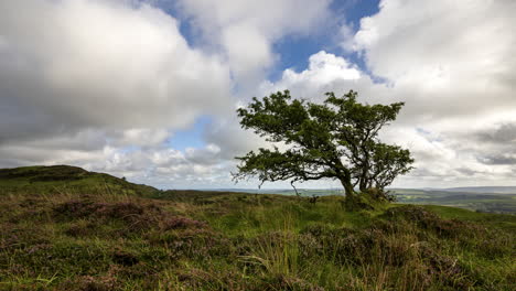 Zeitraffer-Einer-Ländlichen-Landschaft-Mit-Grasfeldern-Und-Hügeln-An-Einem-Bewölkten-Sommertag-In-Irland