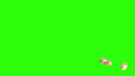 peanuts animation group on green screen chroma key, graphic source elements