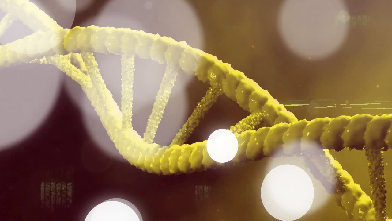 DNA strand animation over blurred lights background