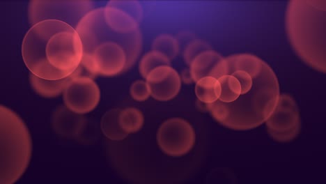 gran bokeh redondo de mosca en fondo azul