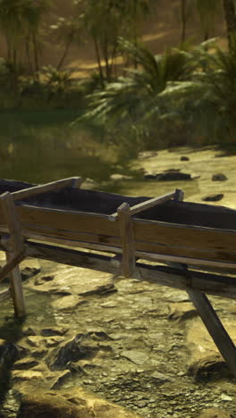 wooden trough near a tranquil water body amid lush tropical vegetation