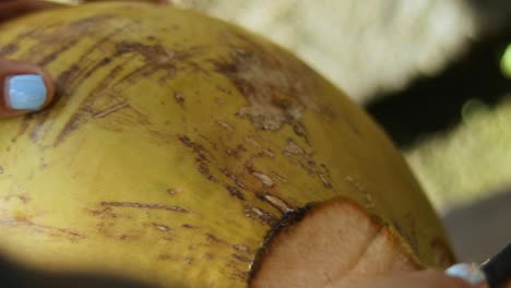 Close-Up-Shot-of-a-person-cutting-open-a-fresh-coconut-with-a-machete