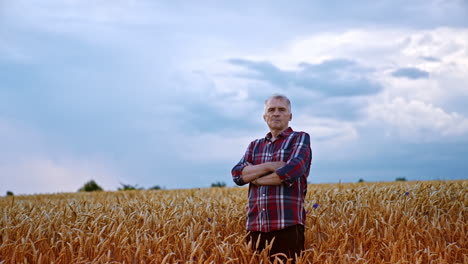 adult caucasian farmer in the ripe wheat field. man stands with hands folded on his chest looking proudly at camera.