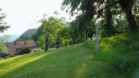 A-man-in-shorts-and-green-shirt-is-mowing-a-green-meadow-with-a-small-lawnmower