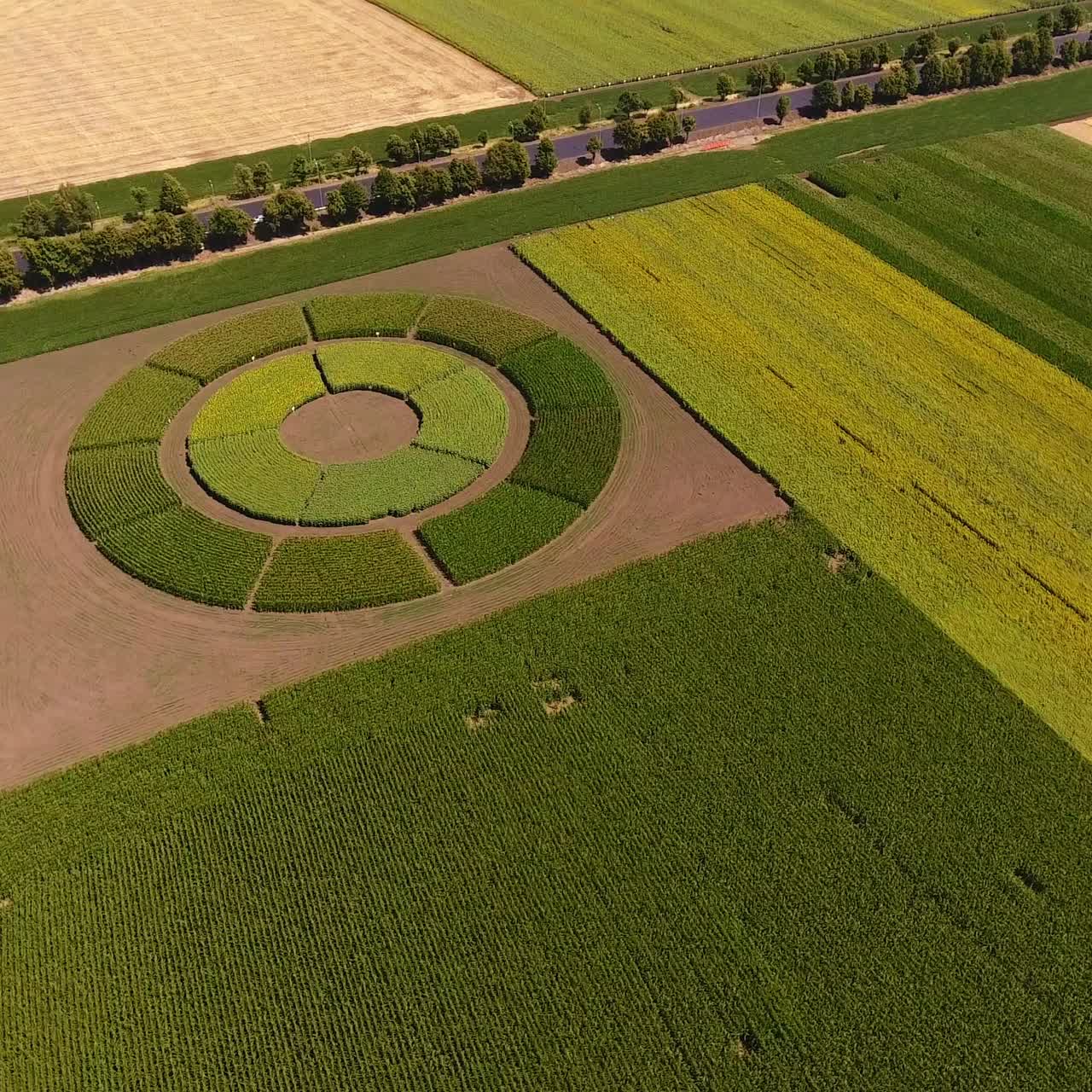 Round area with crops amongst usual croplands. Highway going along the green farmlands. Aerial view