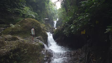 man looking at a woodland waterfall