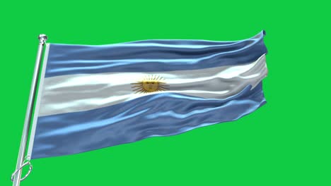 4k bandera de argentina muy detallada - bandera de argentina de alto detalle - bandera nacional de argentina patrón de ondas elementos en bucle