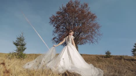 hermosa novia en un vestido blanco en un campo