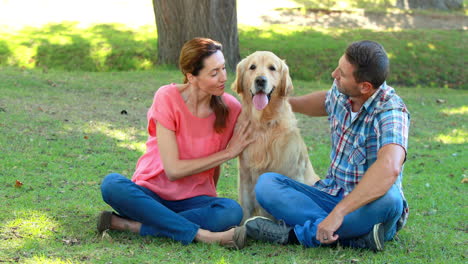 Glückliches-Paar-Mit-Ihrem-Hund-Im-Park