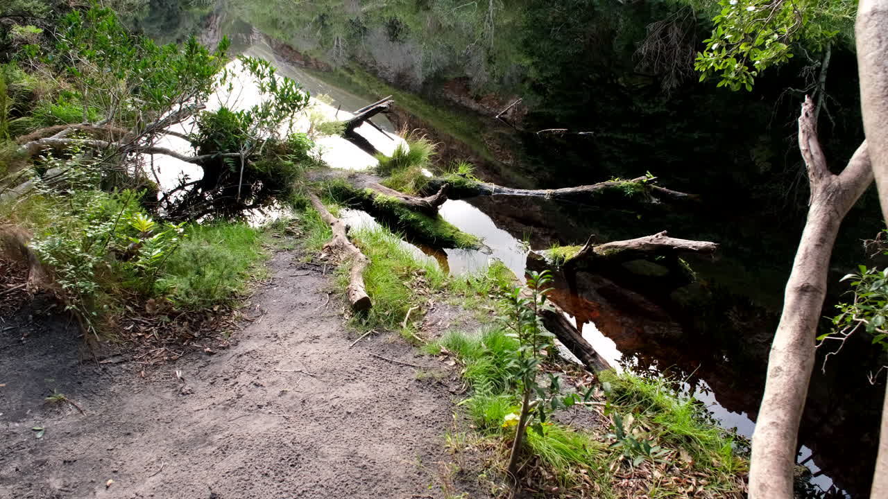 Tranquil setting of Disa Kloof trail dam with vegetation and mountain reflection