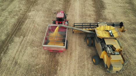 a combine in wisconsin transfers his load of soybeans to an open trailer