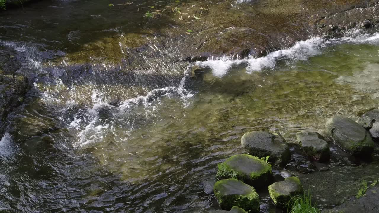 Splendido fiume con acqua cristallina che scorre attraverso un paesaggio naturale