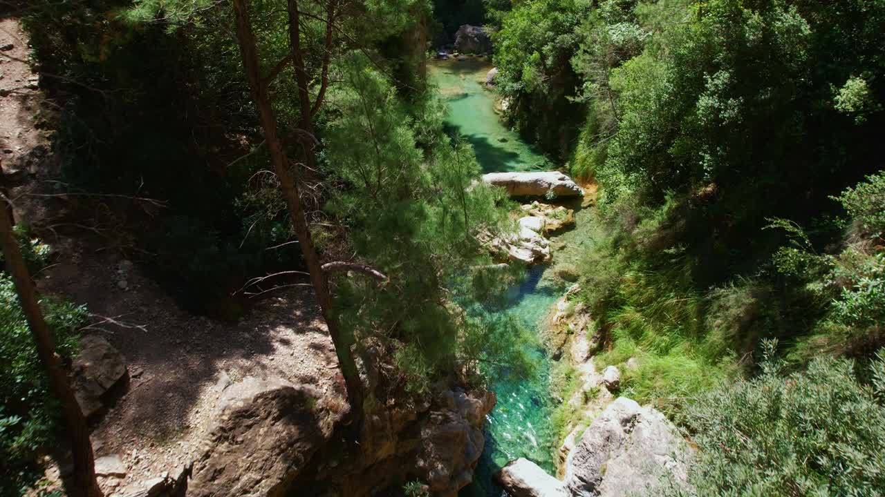 Ruscello di montagna nel bosco con acque turchesi e colorate