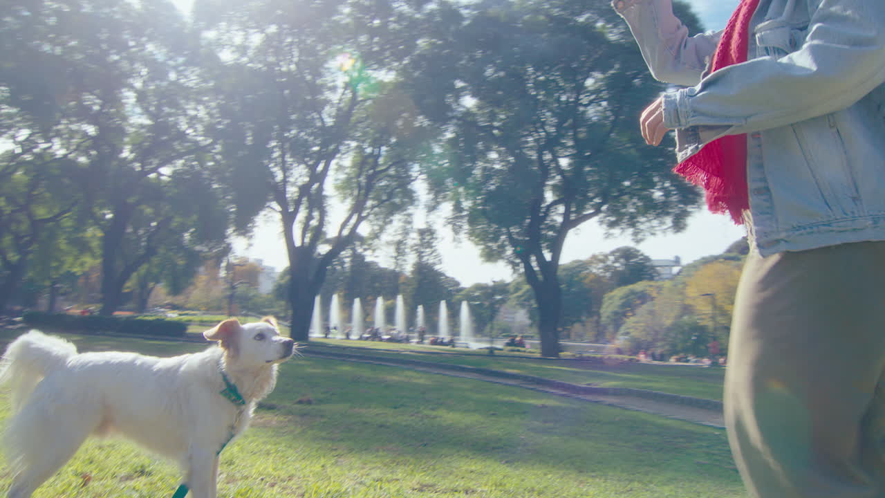 Woman Playing Fetch with Happy Dog in Public Park