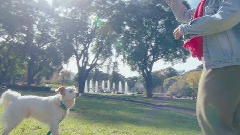 woman playing fetch with happy dog in public park