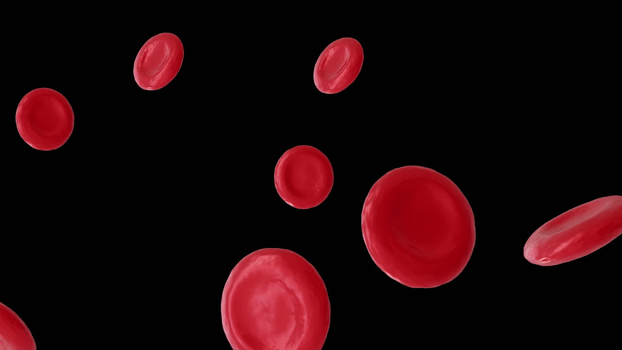 animación de micro de células rojas de la sangre sobre un fondo negro
