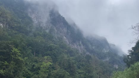 pantalla de la cordillera montañosa de piedra caliza blanca brumosa con una espesa jungla de hoja perenne en la parte inferior