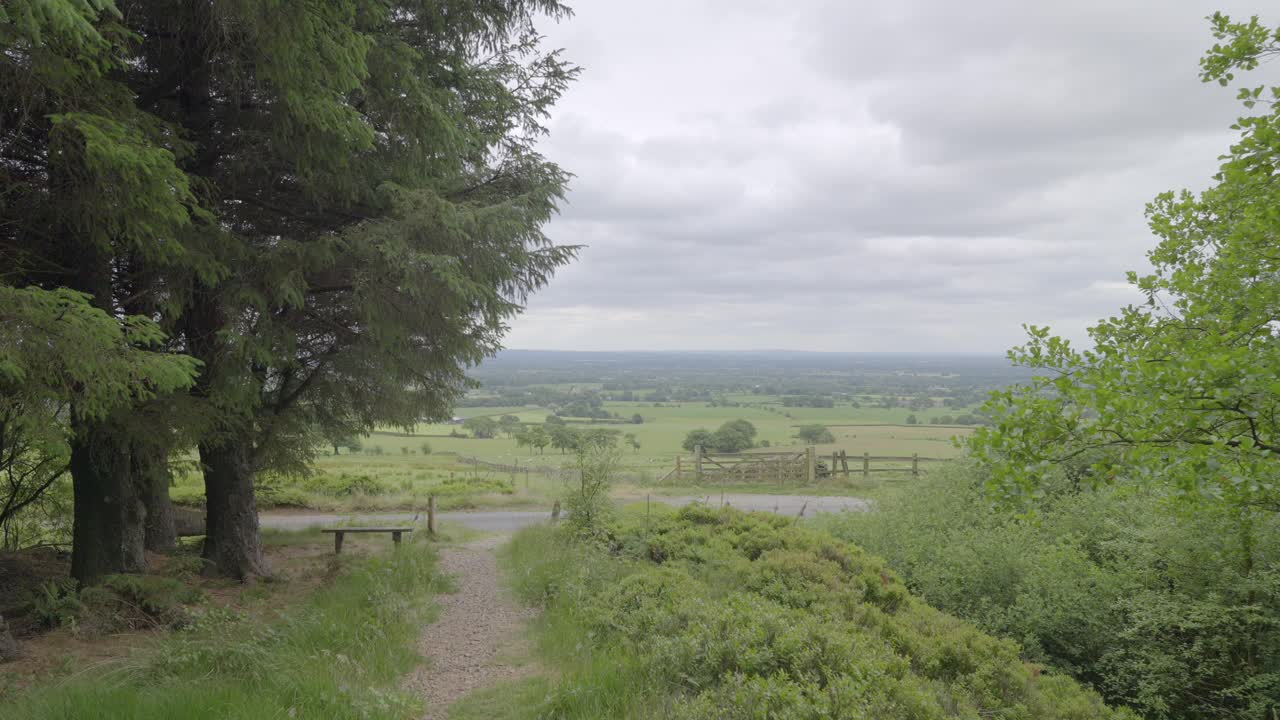enfoque a punto de vista banco con árboles balanceándose en el viento, cámara lenta, campo inglés, lancashire, reino unido, sony fx30
