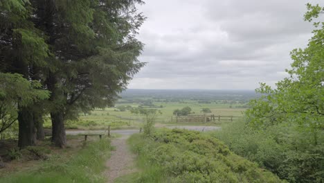approach to viewpoint bench with trees swaying in the wind, slow motion, english countryside, lancashire, uk, sony fx30