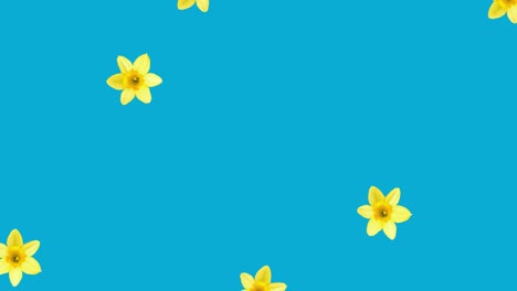 animation of multiple yellow flowers moving over blue background