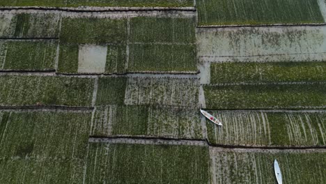 farmland with seaweed and boats on water surface